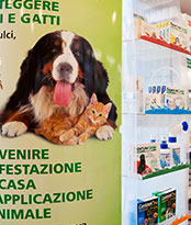 Farmacia Borin